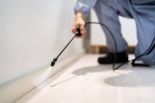 Licensed Pest Control service in Wolfe City, TX - Show Me Pest Control
